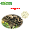 Wild-Yam-Extrakt Pulver Diosgenin